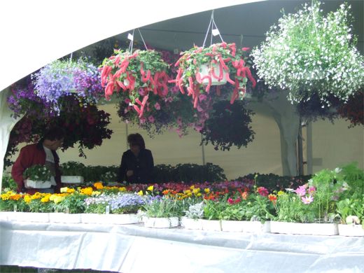 flower sale tent