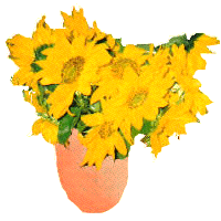 Sunflower vase