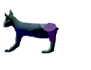 veterinary uses