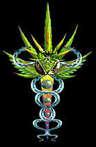 Med MJ courtesy of www.marijuana.org